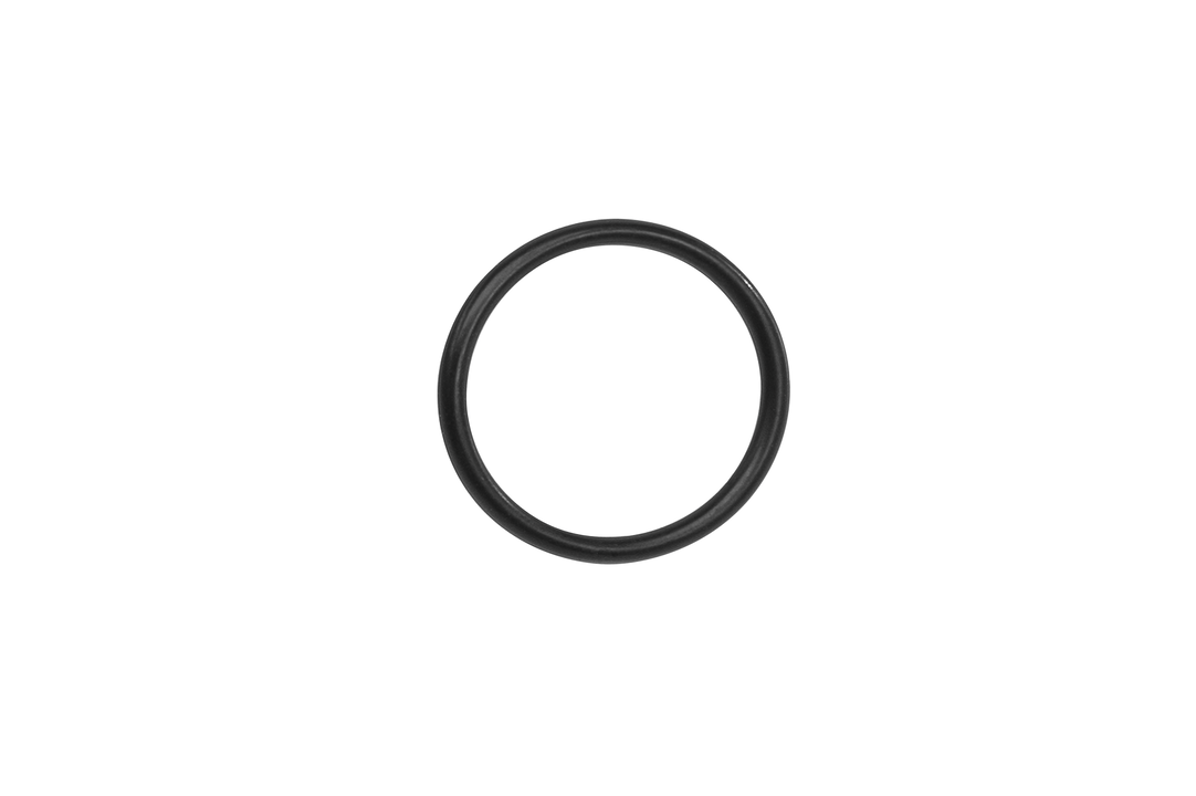 Bosch O-Ring (Gen 3)