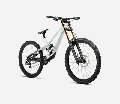 Orbea Rallon D-Ltd White